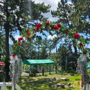 통영로즈힐펜션 이미지