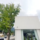 [공주 동학사 카페] 휘연│깔끔한 화이트톤 건물 곳곳이 포토존인 매력적인 카페
