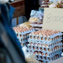 재현축산 이미지