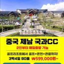 소양여행사