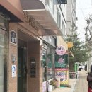 개미용중 | 🐾 개이쁜냥, 마포구 고양이무마취미용은 역시 여기에요 🐱