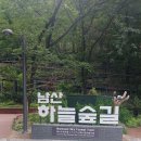 제710회 행복걷기 (남산숲길)반대로걷기공지 이미지