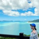 위트선데이 이미지