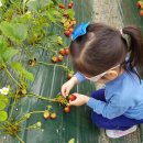 늘해랑농장 이미지