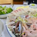 송광도매횟집 이미지