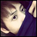 냥스타그램 이미지