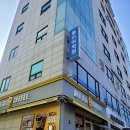 뜰에유치원 | 5세 영유, 놀이학교 입학설명회 후기 - 성동 폴리, 프랜시스파커, 힐사이드컬리지잇, 숲아이쉼뜰