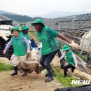 문주2리 뉴시스