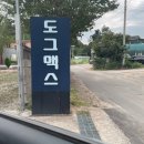 도그포레스트 | 서울 근교 애견카페 남양주 애견운동장 도그맥스 방문 후기