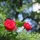 양운중학교 앞 이미지