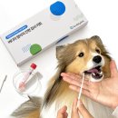 기프트 펫 이미지