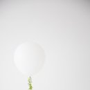 행복사진관 이미지