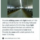 밀키웨이목장 이미지