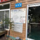 [포천] 서울 1시간 거리 &lt;깊이울 달빛 캠핑장&gt; A26번 감나무사이트 솔직후기 예약방법, 가격
