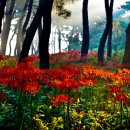 월야농장 이미지