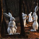 [롯데갤러리본점]Rabbit, Run 달려라,토끼 이미지