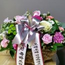 플로라 & 디자인스쿨 이미지