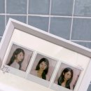 하쿠나마타타 이미지