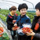 통나무민박4 이미지