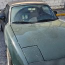 손오공손세차 이미지