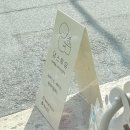 댕스투유 이미지