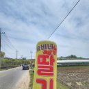 솔비농장 이미지