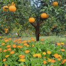 산수재민박 이미지