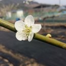 귀래농장 이미지