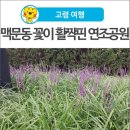 연조공원 이미지