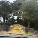 국군복지단서귀포호텔목욕탕 | 제주도 군인 호텔 가성비 좋았던 오션뷰 서귀포호텔