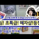 레전드뽑기방 이미지