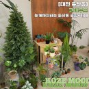 밤마실 하다 들른 둔산동 꽃집 카페 코제무드, 에그타르트&amp;음료 맛본 후기