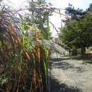 몽마르뜨공원 이미지