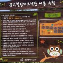 문수힐링피크닉장 이미지