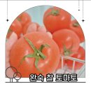 남매청과 - 화성시 31만세로 1105 | 남매청과
