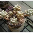 요즘 창 이미지