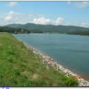 호수와 소나무 이미지