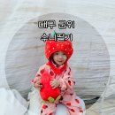 하곡농장 | 25.2.9 1187DAY 무농약 인증받은 아기랑군위 딸기수확체험 수니딸기