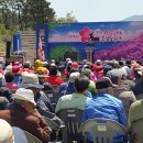 주도흑염소 이미지