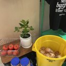 인사동길 | [서울 종로] 인사동 수제버거 맛집 ‘니즈버거 안국점’ 솔직 후기