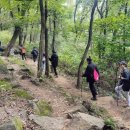 배움지도사 양성교육 이미지