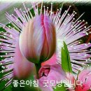 해옥