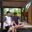 꿈꾸는웰빙 이미지