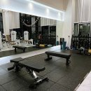 엑스포스짐 이미지