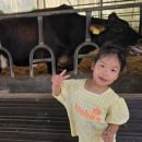 경원목장 이미지