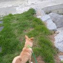 솔바위로그하우스 이미지