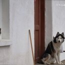 펫츠나라동물병원