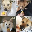 앙글몽글 이미지