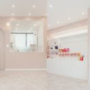 살롱드 마이독 이미지