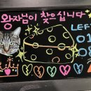 강남-088 이미지